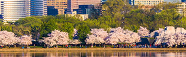 National Capital Region